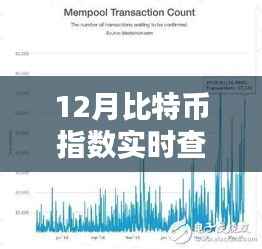 12月比特币指数实时查询,全面评测与详细介绍