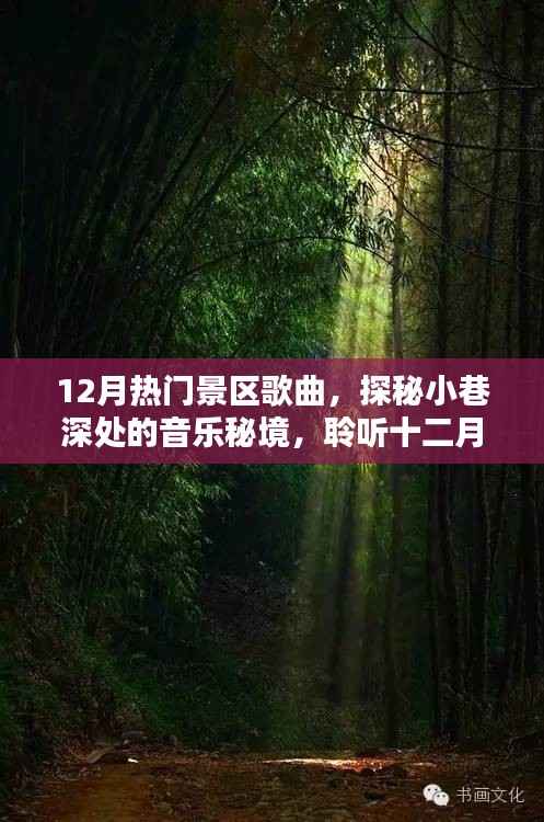探秘十二月热门景区音乐秘境，小巷深处的歌曲精选