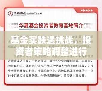 基金买跌遇挑战,投资者策略调整进行时