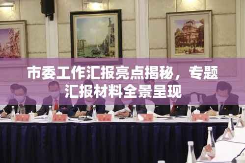 市委工作汇报亮点揭秘，专题汇报材料全景呈现