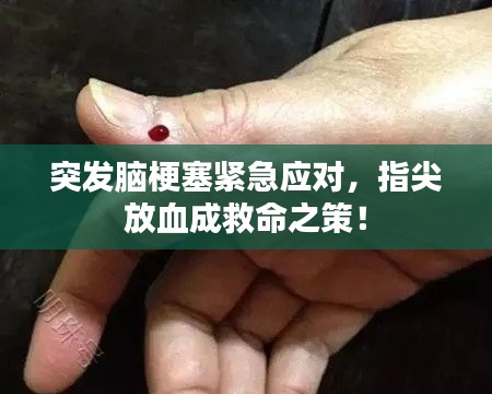 橘虞初梦 第3页