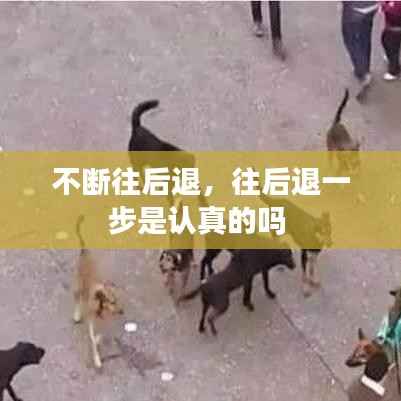 不断往后退,往后退一步是认真的吗