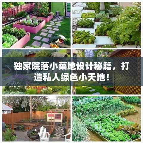 独家院落小菜地设计秘籍，打造私人绿色小天地！
