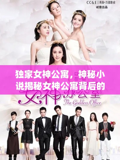 独家女神公寓，神秘小说揭秘女神公寓背后的故事