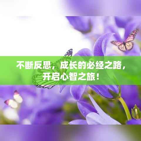 不断反思，成长的必经之路，开启心智之旅！