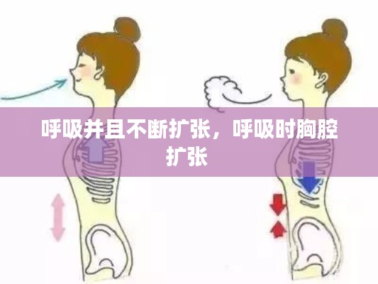 呼吸并且不断扩张,呼吸时胸腔扩张