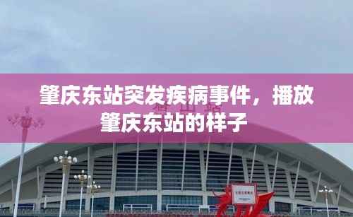 肇庆东站突发疾病事件,播放肇庆东站的样子