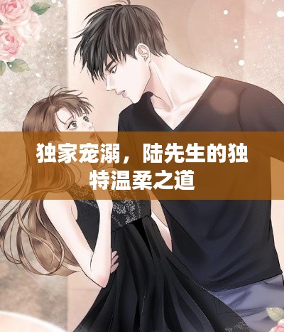 独家宠溺,陆先生的独特温柔之道