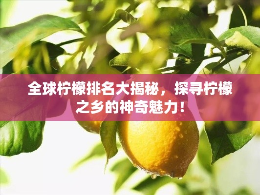 全球柠檬排名大揭秘,探寻柠檬之乡的神奇魅力!