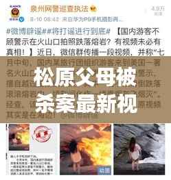 松原父母被杀案最新视频曝光，深度解读引发社会反思