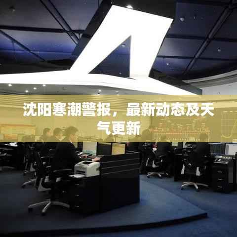 沈阳寒潮警报,最新动态及天气更新