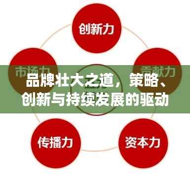 品牌壮大之道，策略、创新与持续发展的驱动力
