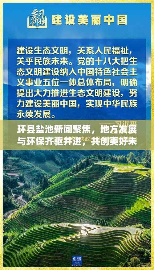 环县盐池新闻聚焦，地方发展与环保齐驱并进，共创美好未来