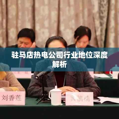 驻马店热电公司行业地位深度解析