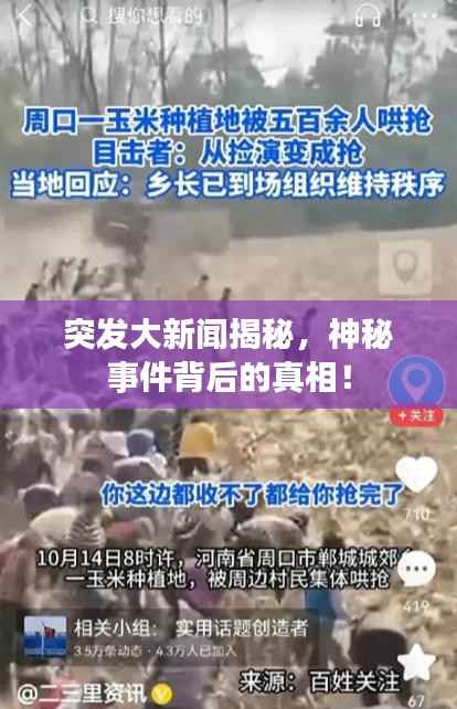 突发大新闻揭秘，神秘事件背后的真相！