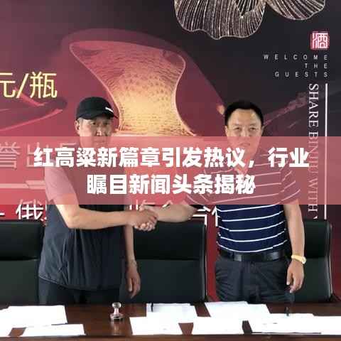 打张鸡儿 第3页