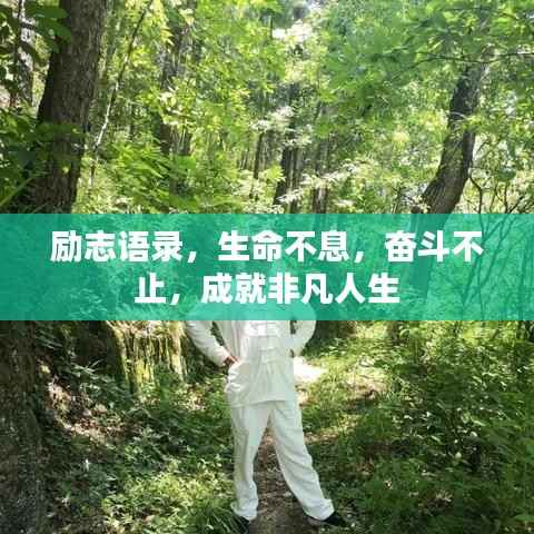 励志语录,生命不息,奋斗不止,成就非凡人生