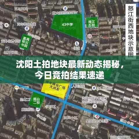 沈阳土拍地块最新动态揭秘，今日竞拍结果速递