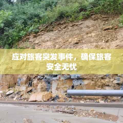 应对旅客突发事件,确保旅客安全无忧