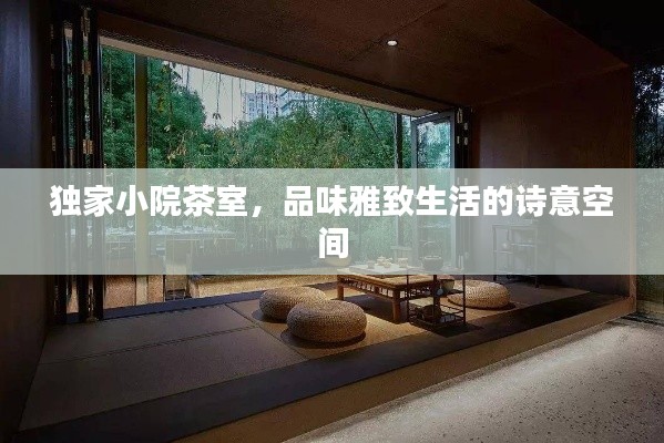 独家小院茶室，品味雅致生活的诗意空间