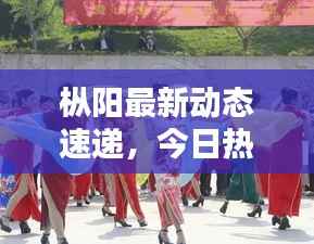 枞阳最新动态速递，今日热点消息一网打尽