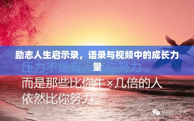 励志人生启示录，语录与视频中的成长力量