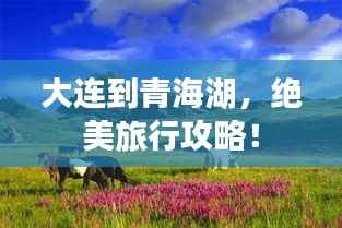 大连到青海湖,绝美旅行攻略!