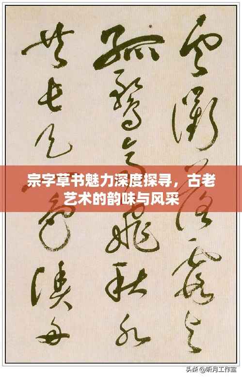 宗字草书魅力深度探寻，古老艺术的韵味与风采