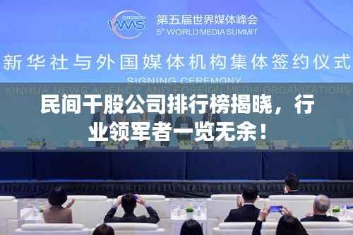 民间干股公司排行榜揭晓，行业领军者一览无余！
