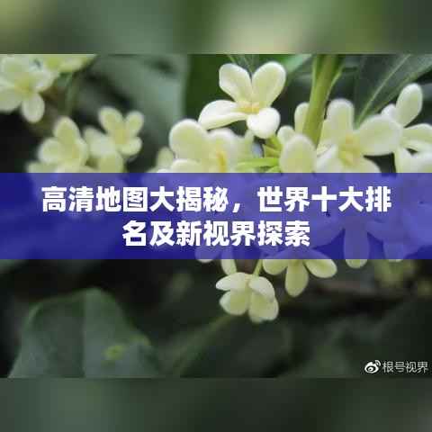 明目张胆 第3页